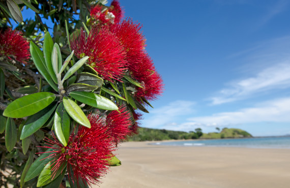 Wellbeing over the holidays