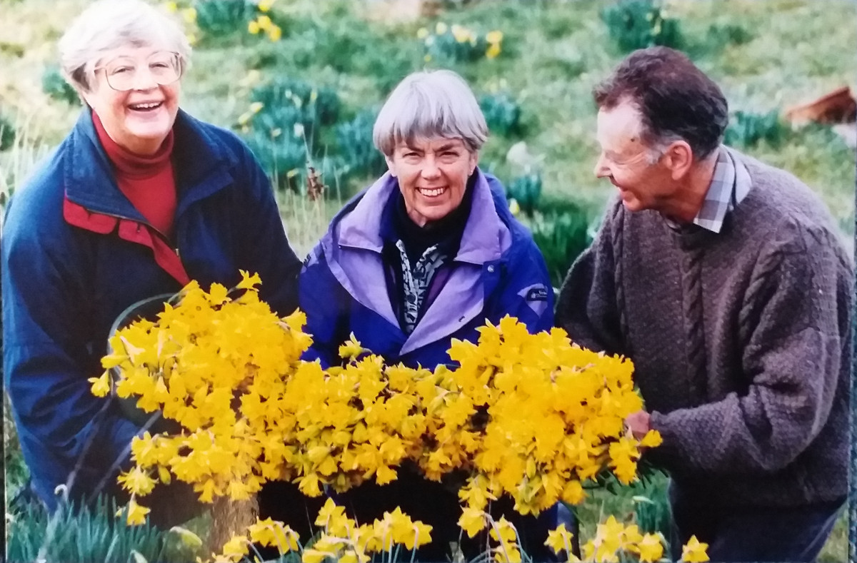 30 Years of Daffodil Day
