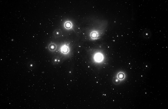 How to celebrate Matariki