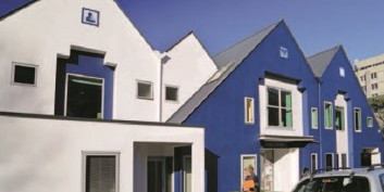 Daffodil house Dunedin