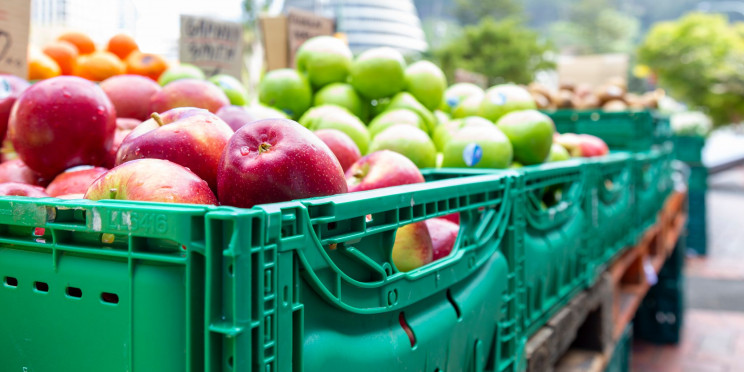 apples