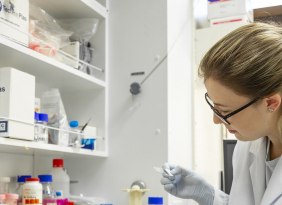 researcher 1