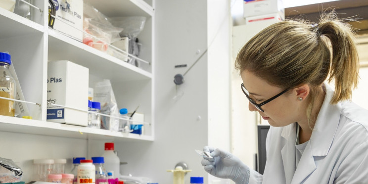 researcher 1