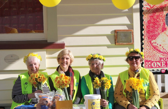 The Cancer Society is returning to street collecting this Daffodil Day